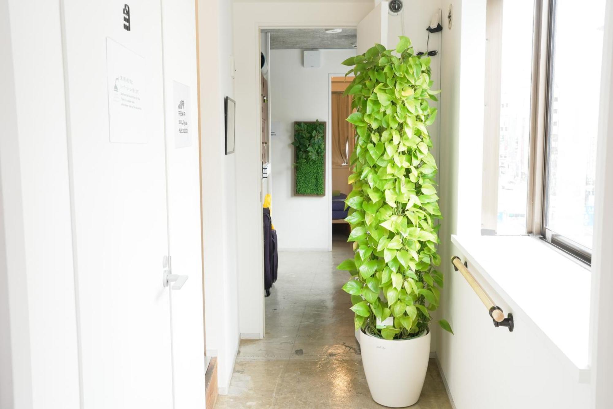 Hostel Uguisudani Tokio
